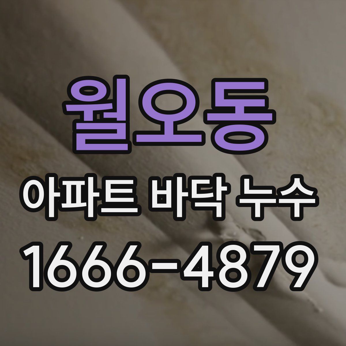 월오동 아파트 바닥 누수