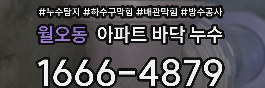 월오동 아파트 바닥 누수