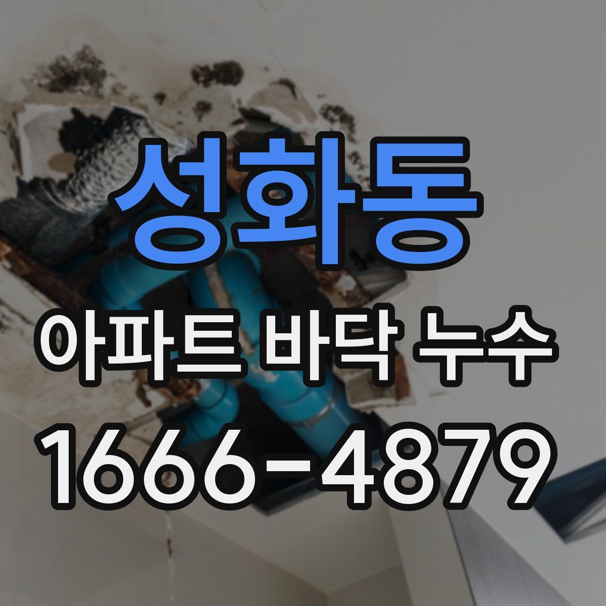 성화동 아파트 바닥 누수