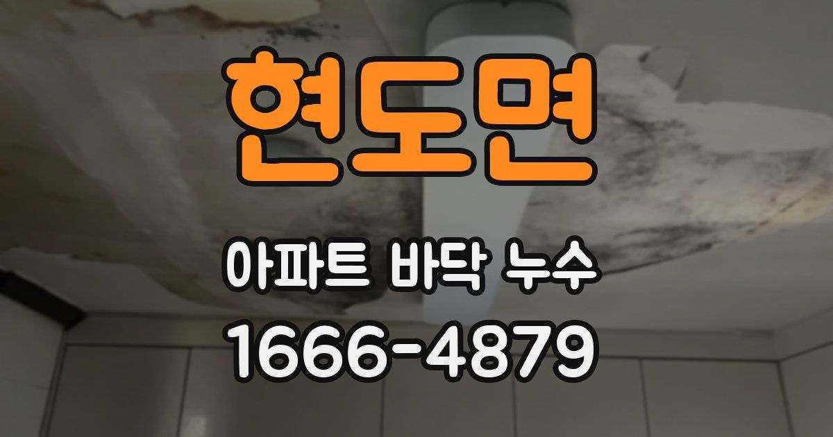 현도면 아파트 바닥 누수