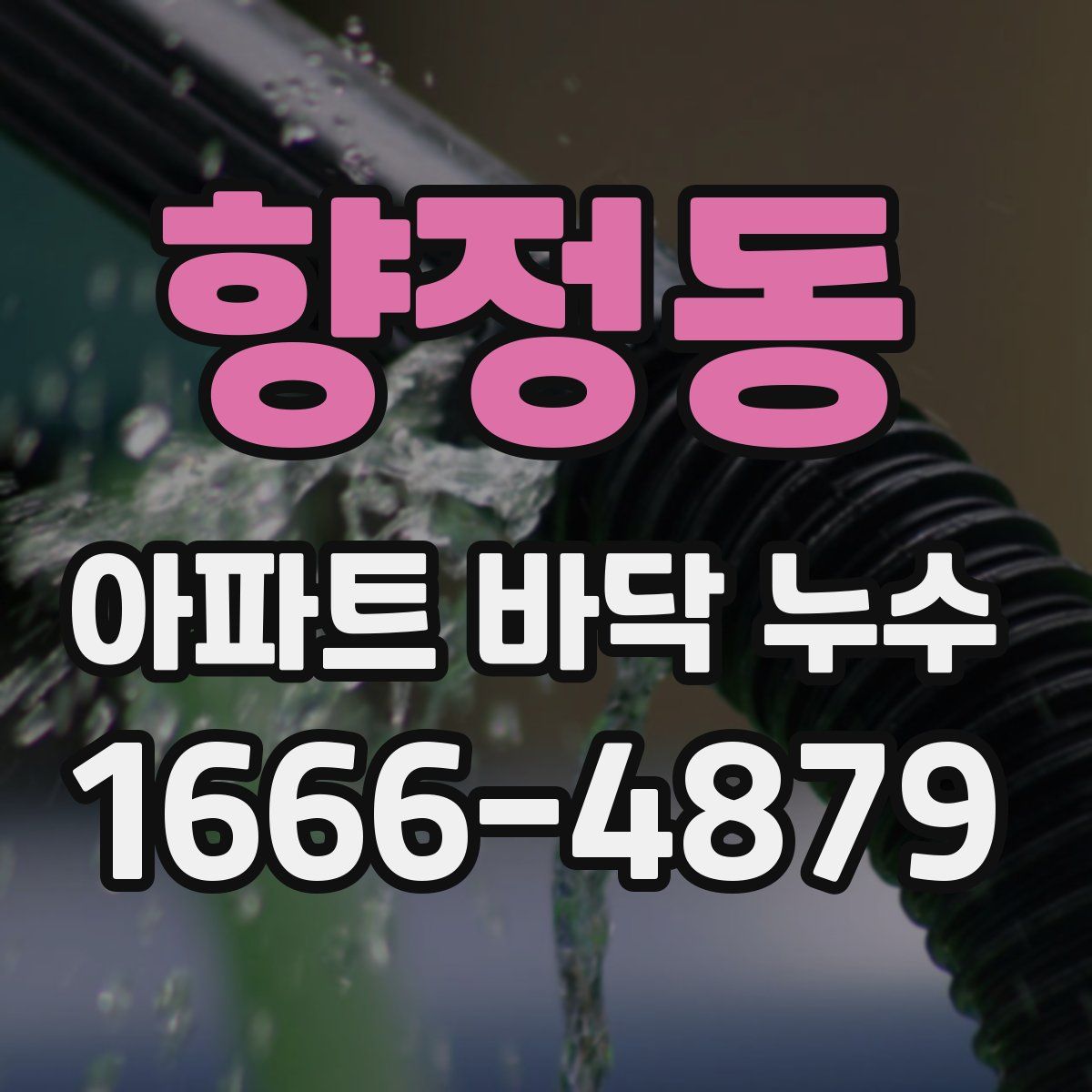 향정동 아파트 바닥 누수
