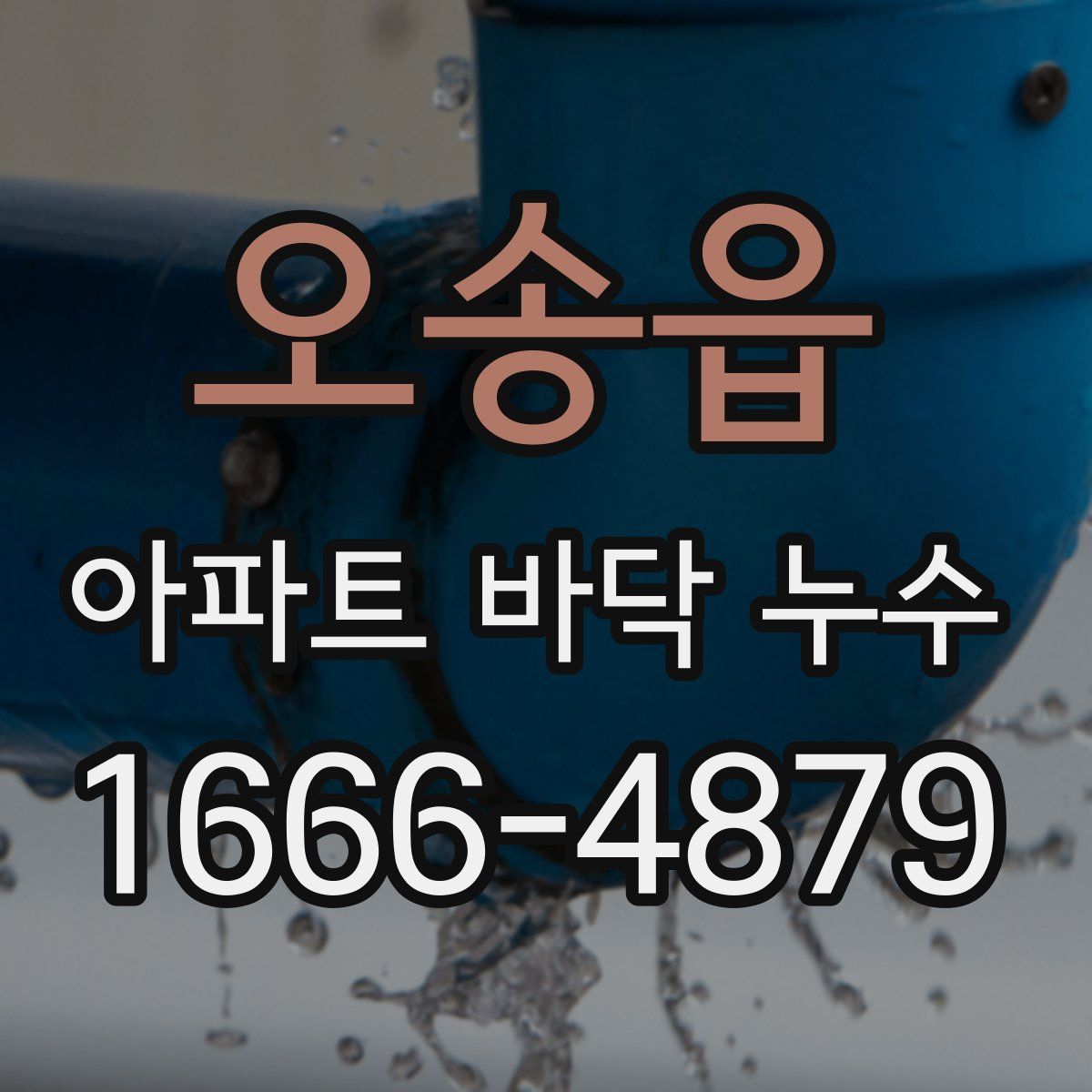 오송읍 아파트 바닥 누수