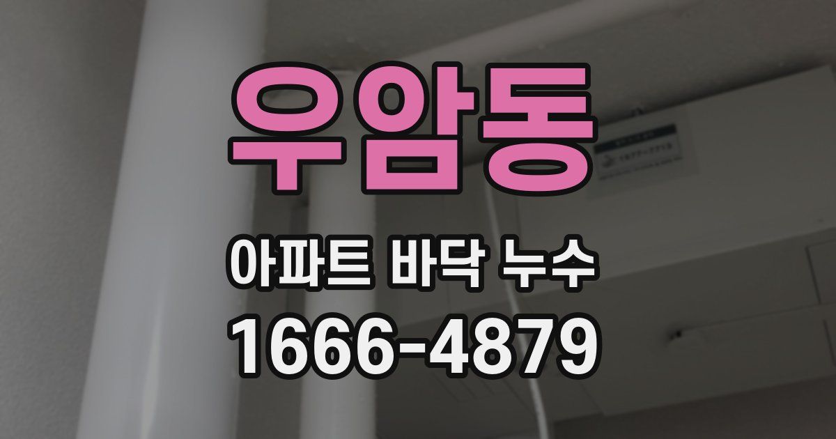 우암동 아파트 바닥 누수