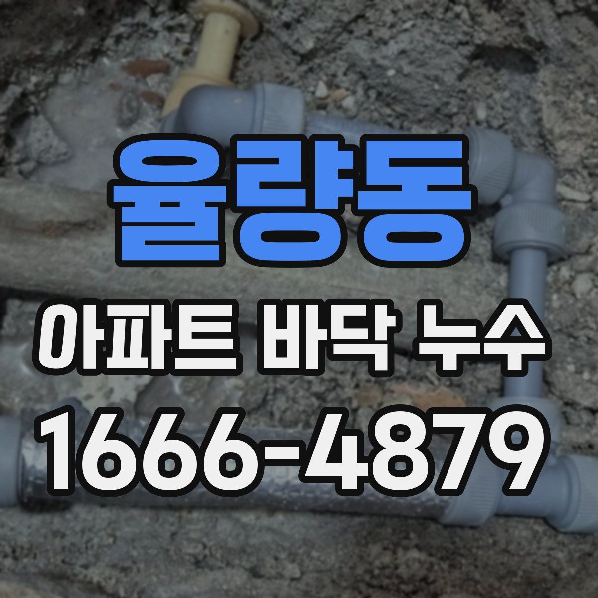 율량동 아파트 바닥 누수