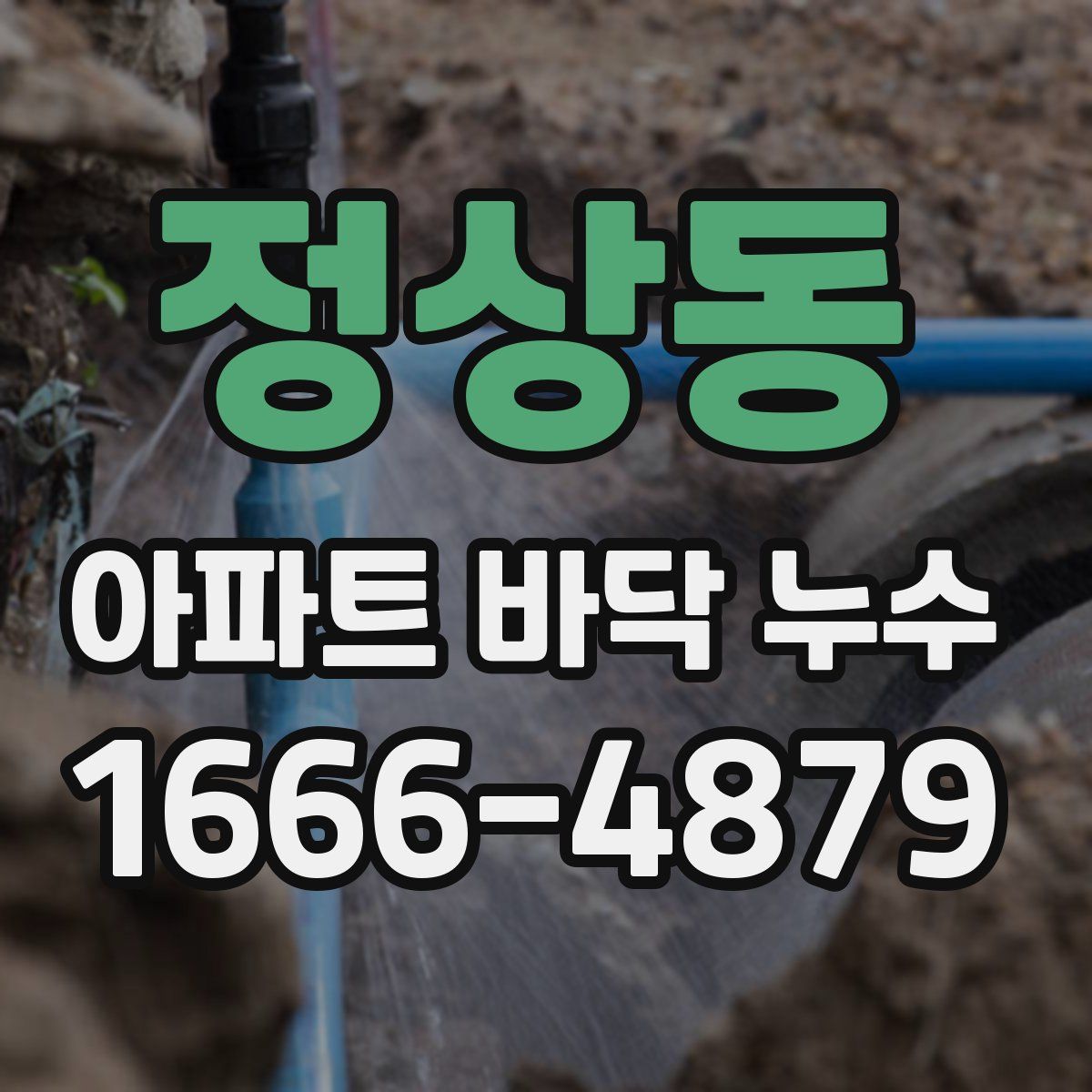 정상동 아파트 바닥 누수