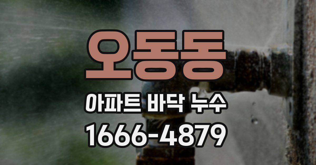 오동동 아파트 바닥 누수
