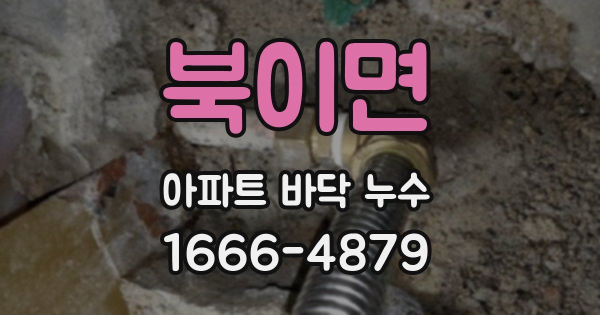 북이면 아파트 바닥 누수
