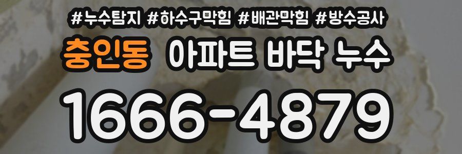 충인동 아파트 바닥 누수
