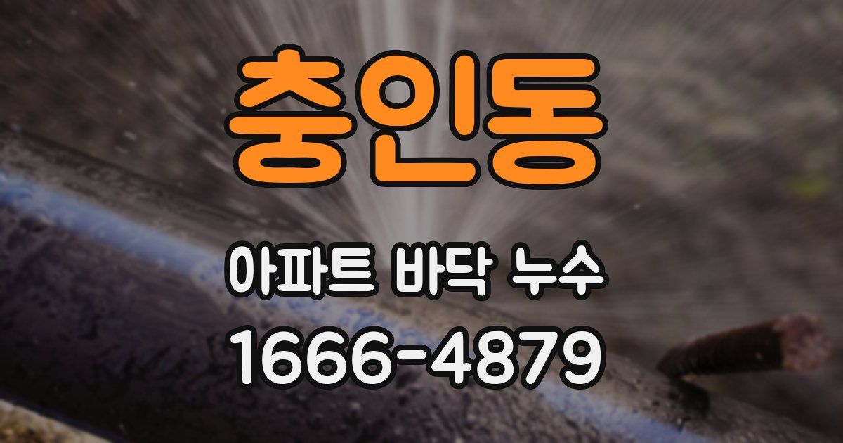 충인동 아파트 바닥 누수