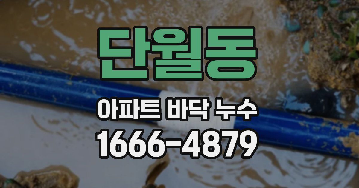 단월동 아파트 바닥 누수