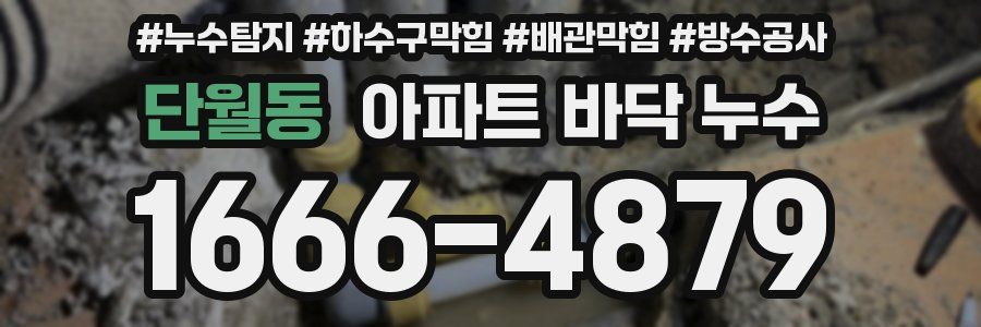 단월동 아파트 바닥 누수