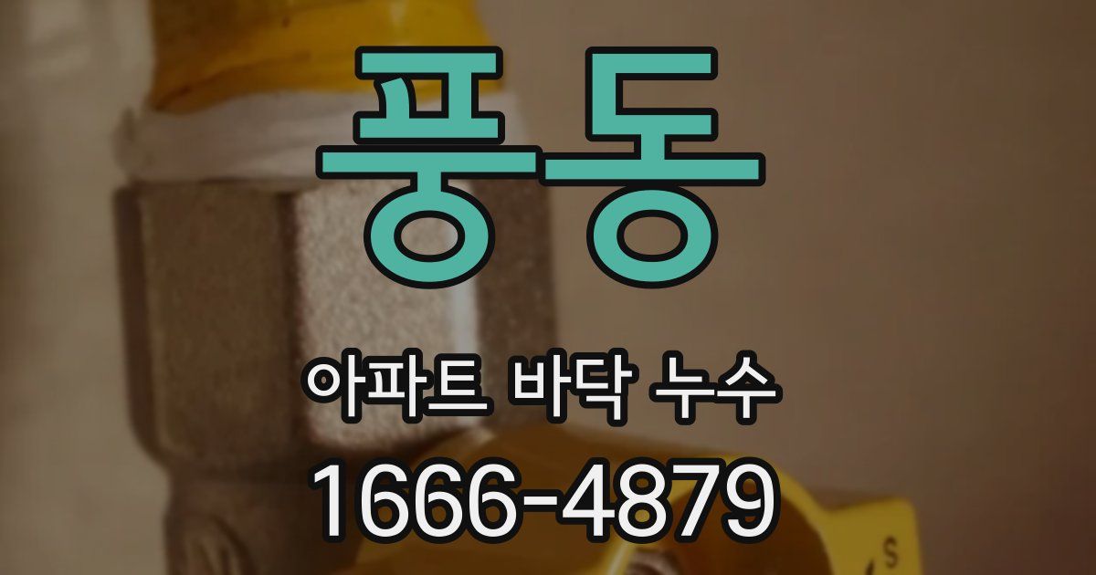 풍동 아파트 바닥 누수