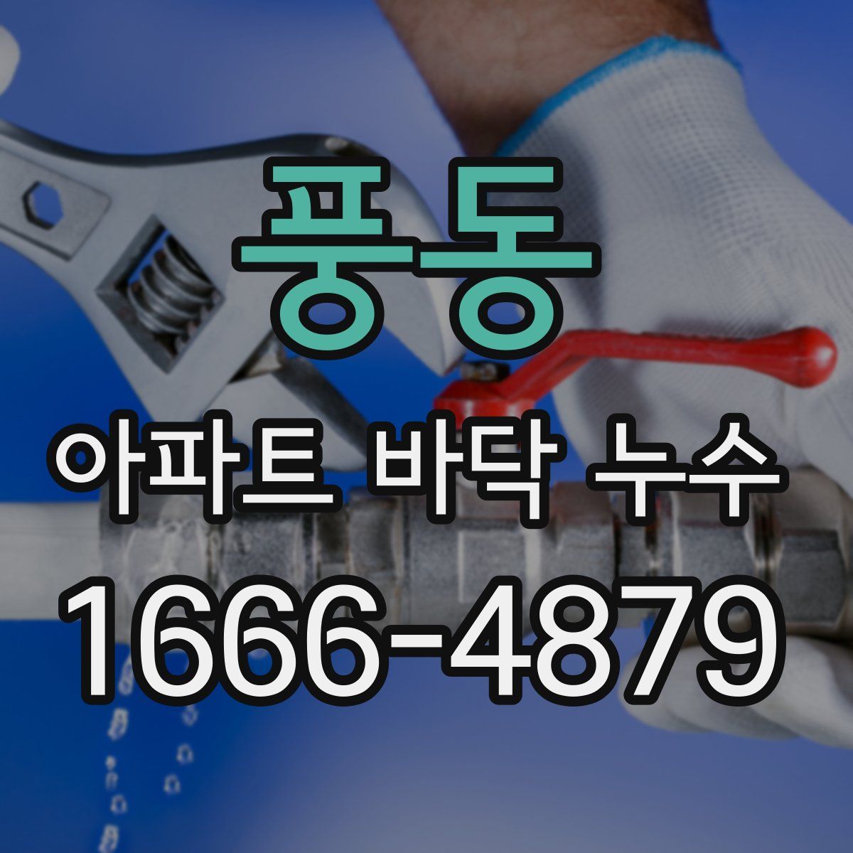 풍동 아파트 바닥 누수