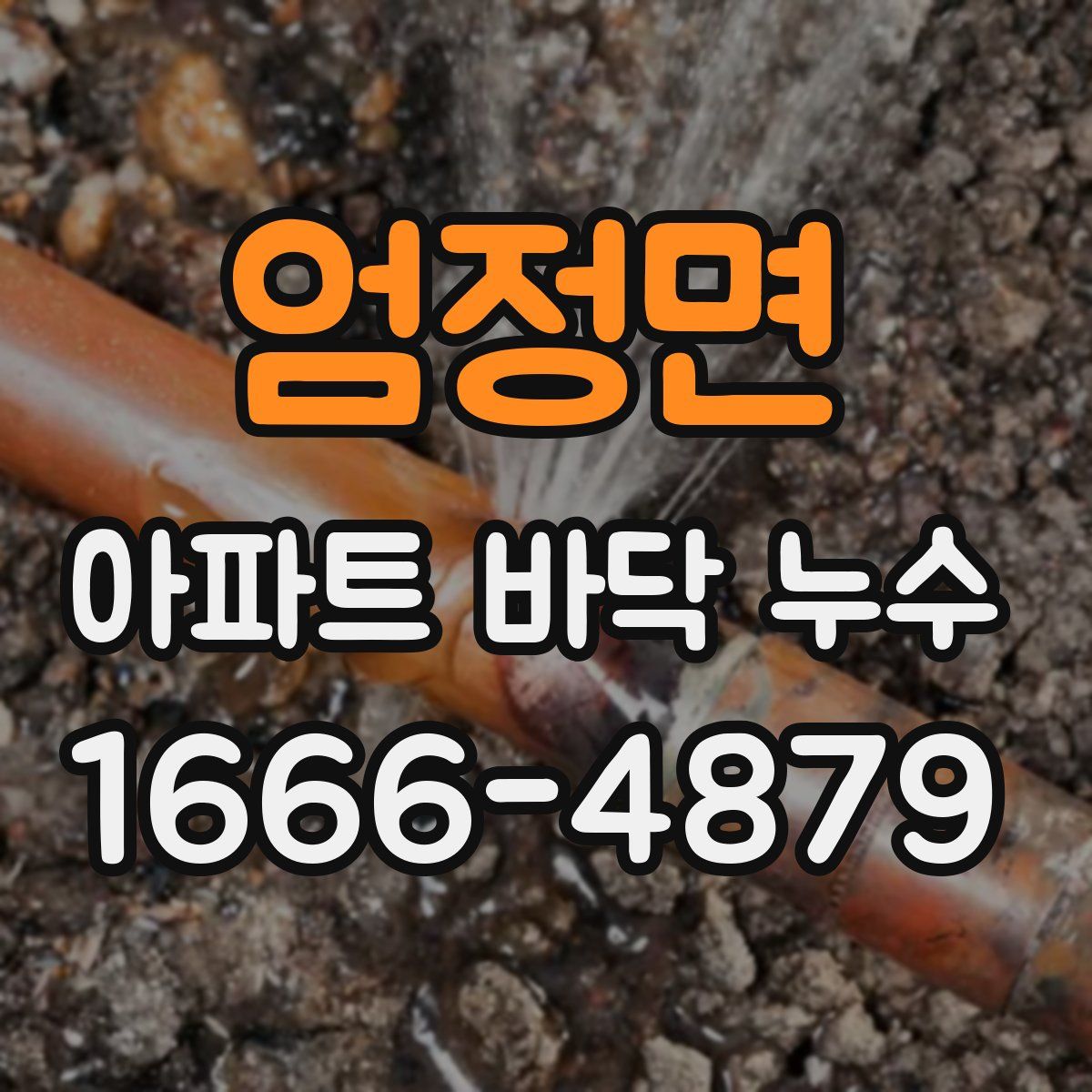 엄정면 아파트 바닥 누수