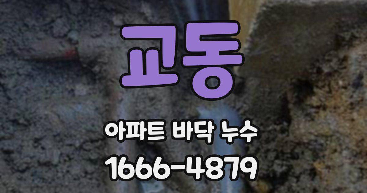 교동 아파트 바닥 누수