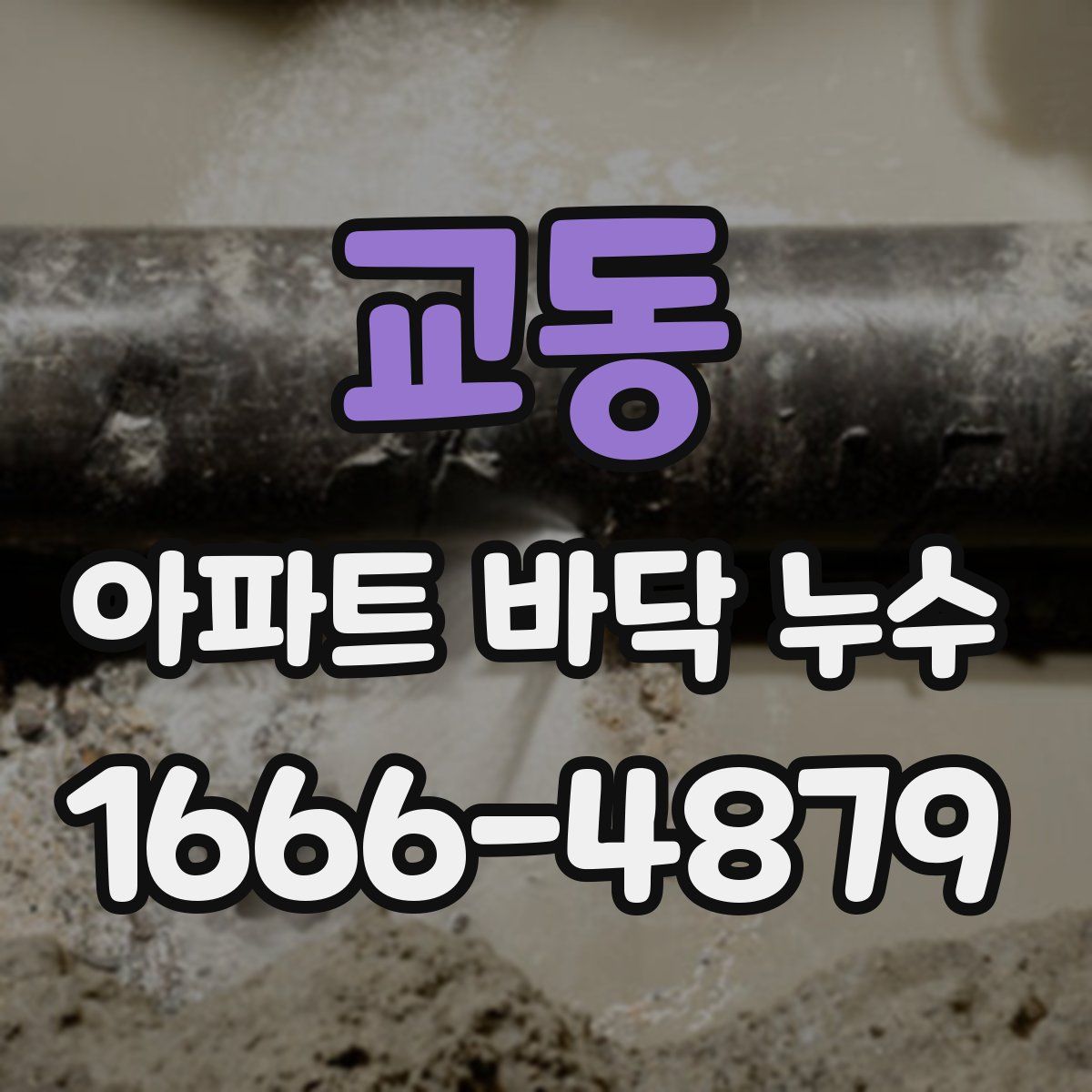 교동 아파트 바닥 누수