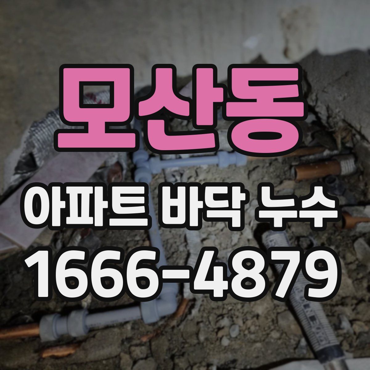 모산동 아파트 바닥 누수