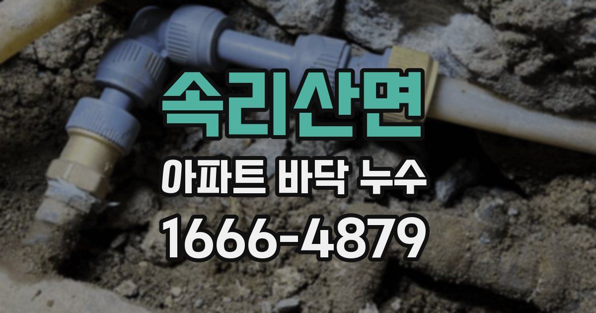 속리산면 아파트 바닥 누수