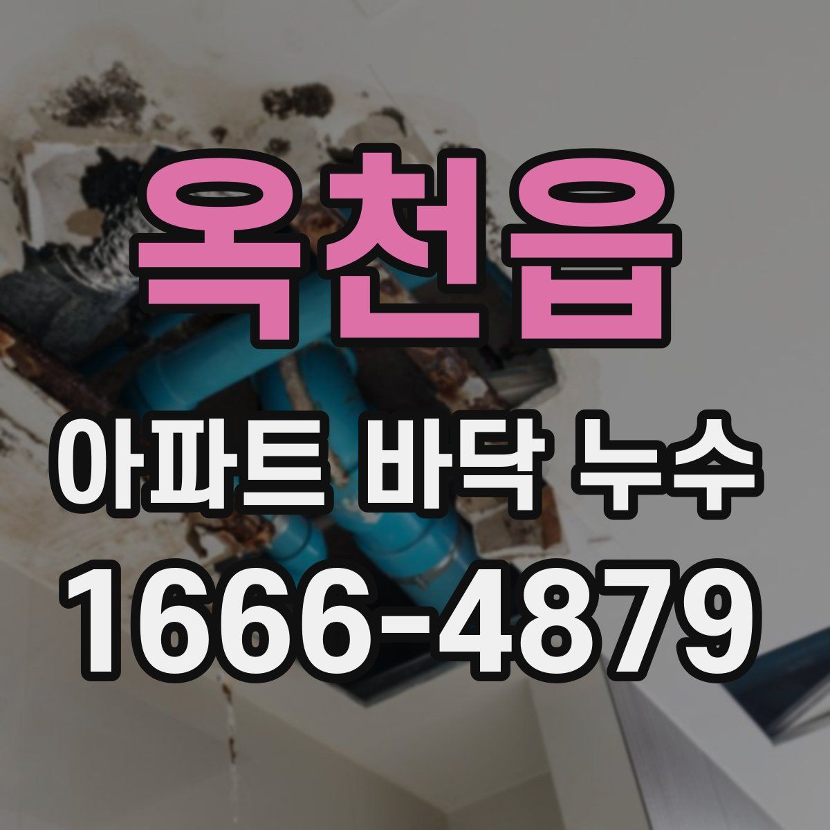 옥천읍 아파트 바닥 누수