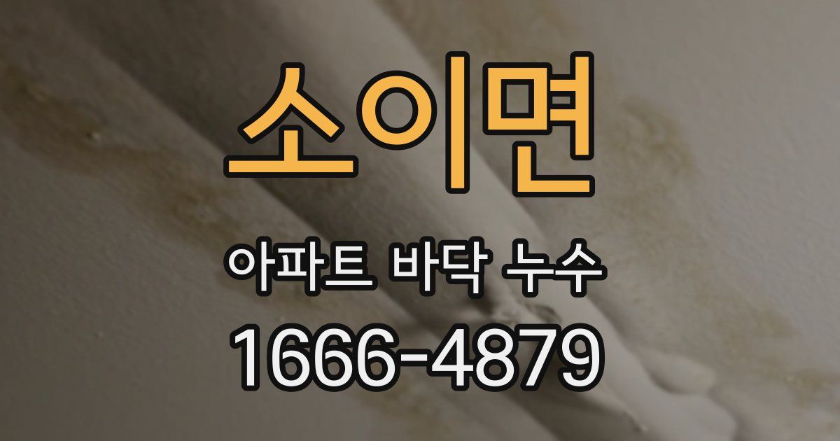 소이면 아파트 바닥 누수