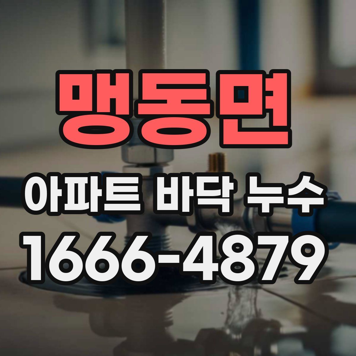 맹동면 아파트 바닥 누수