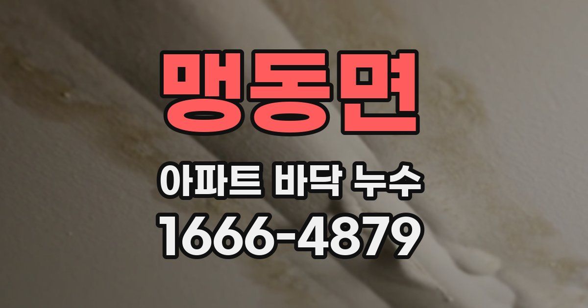 맹동면 아파트 바닥 누수