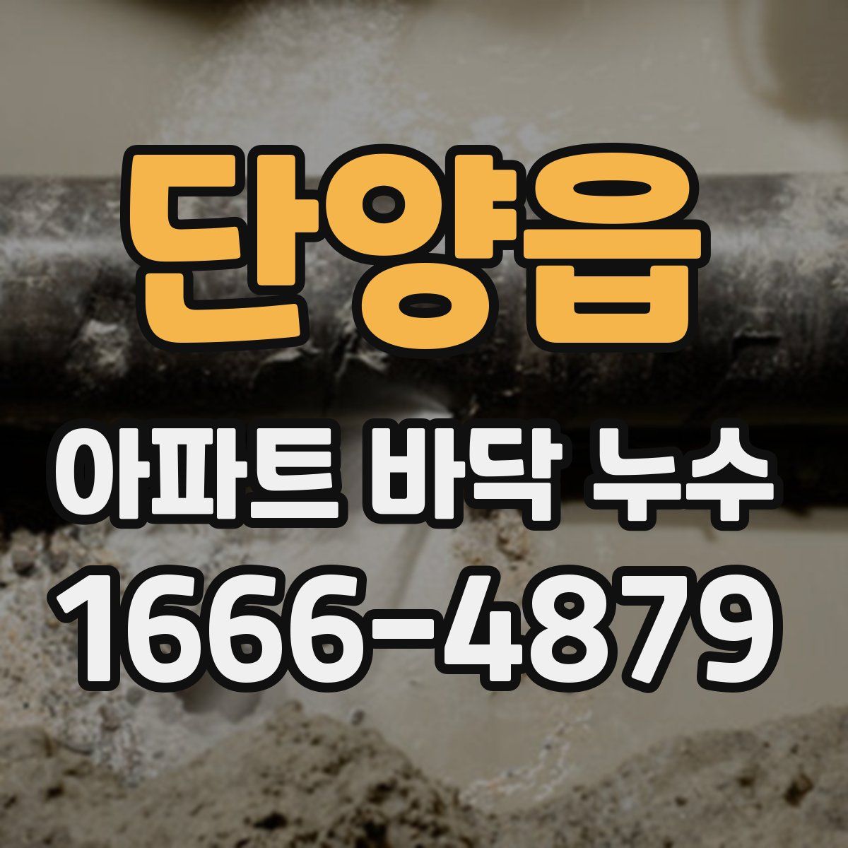 단양읍 아파트 바닥 누수