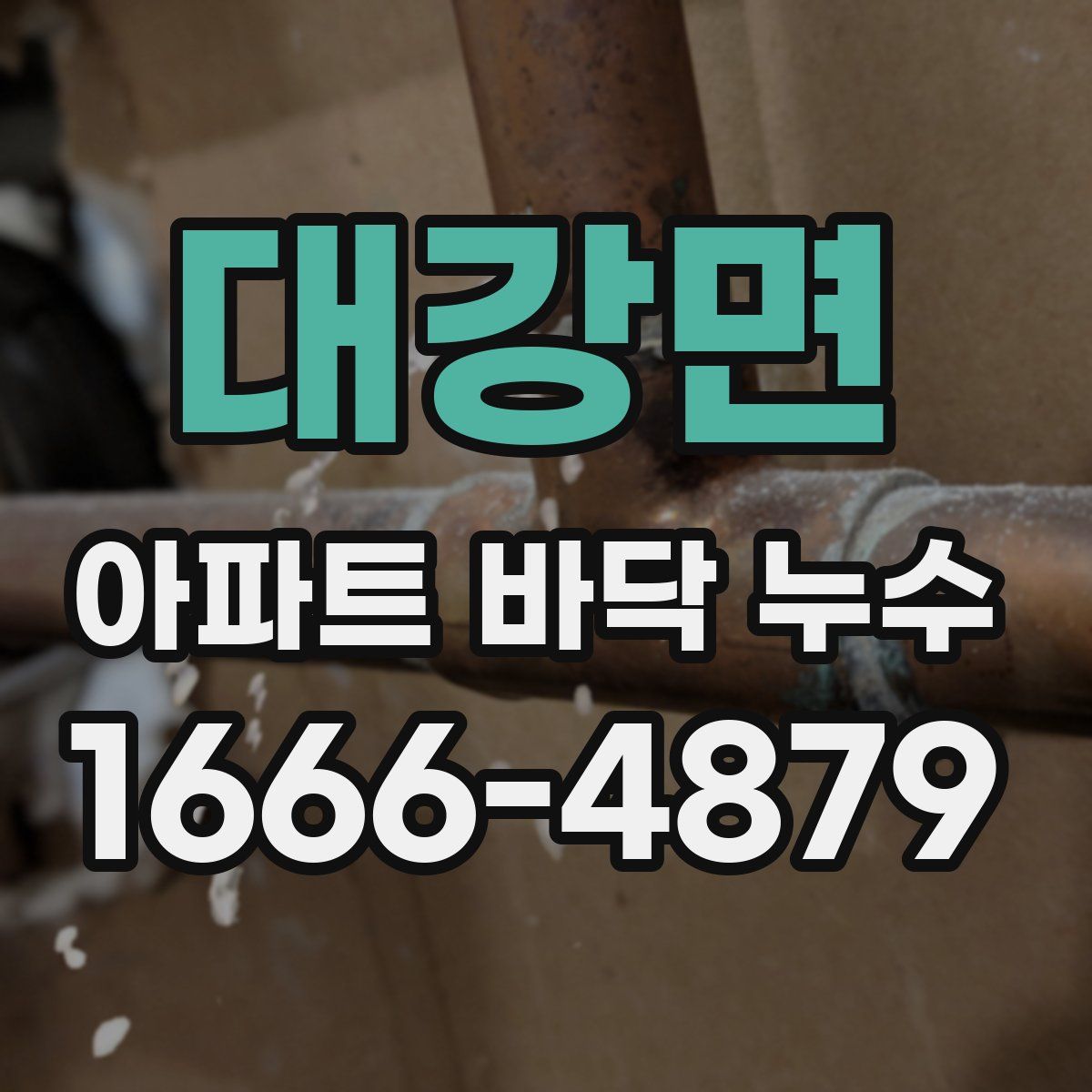 대강면 아파트 바닥 누수