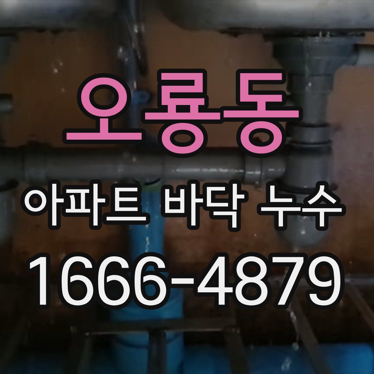 오룡동 아파트 바닥 누수