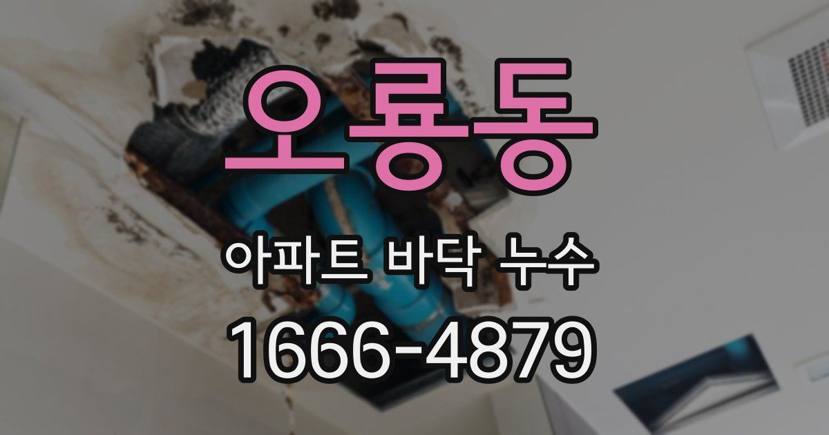 오룡동 아파트 바닥 누수