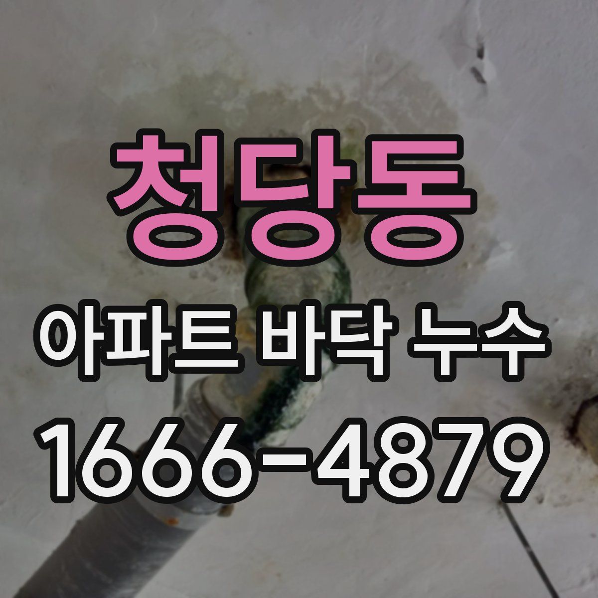 청당동 아파트 바닥 누수
