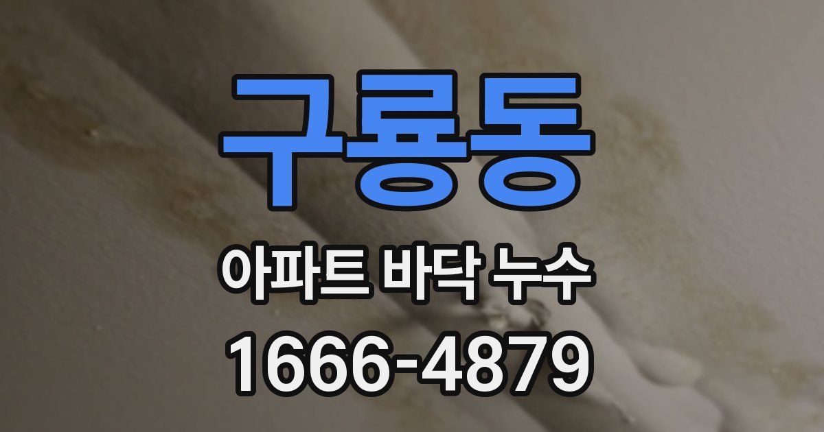 구룡동 아파트 바닥 누수