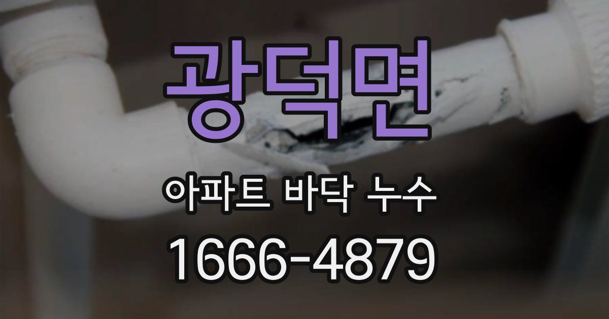 광덕면 아파트 바닥 누수