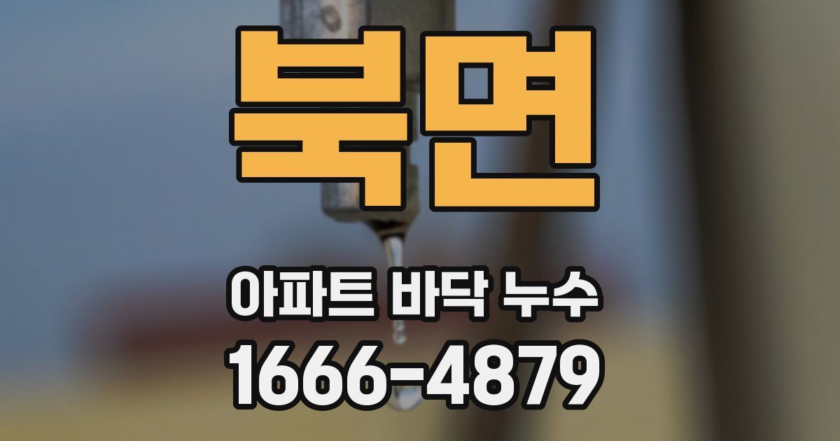 북면 아파트 바닥 누수