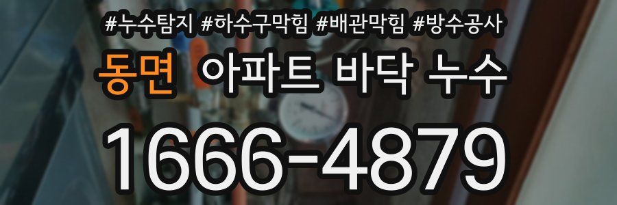 동면 아파트 바닥 누수