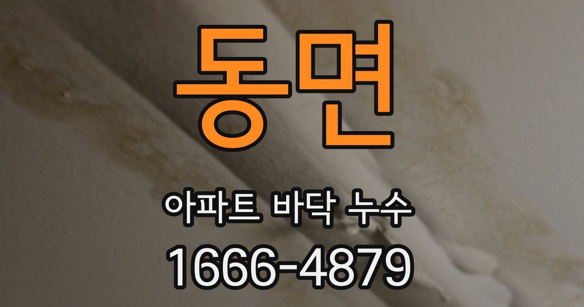 동면 아파트 바닥 누수