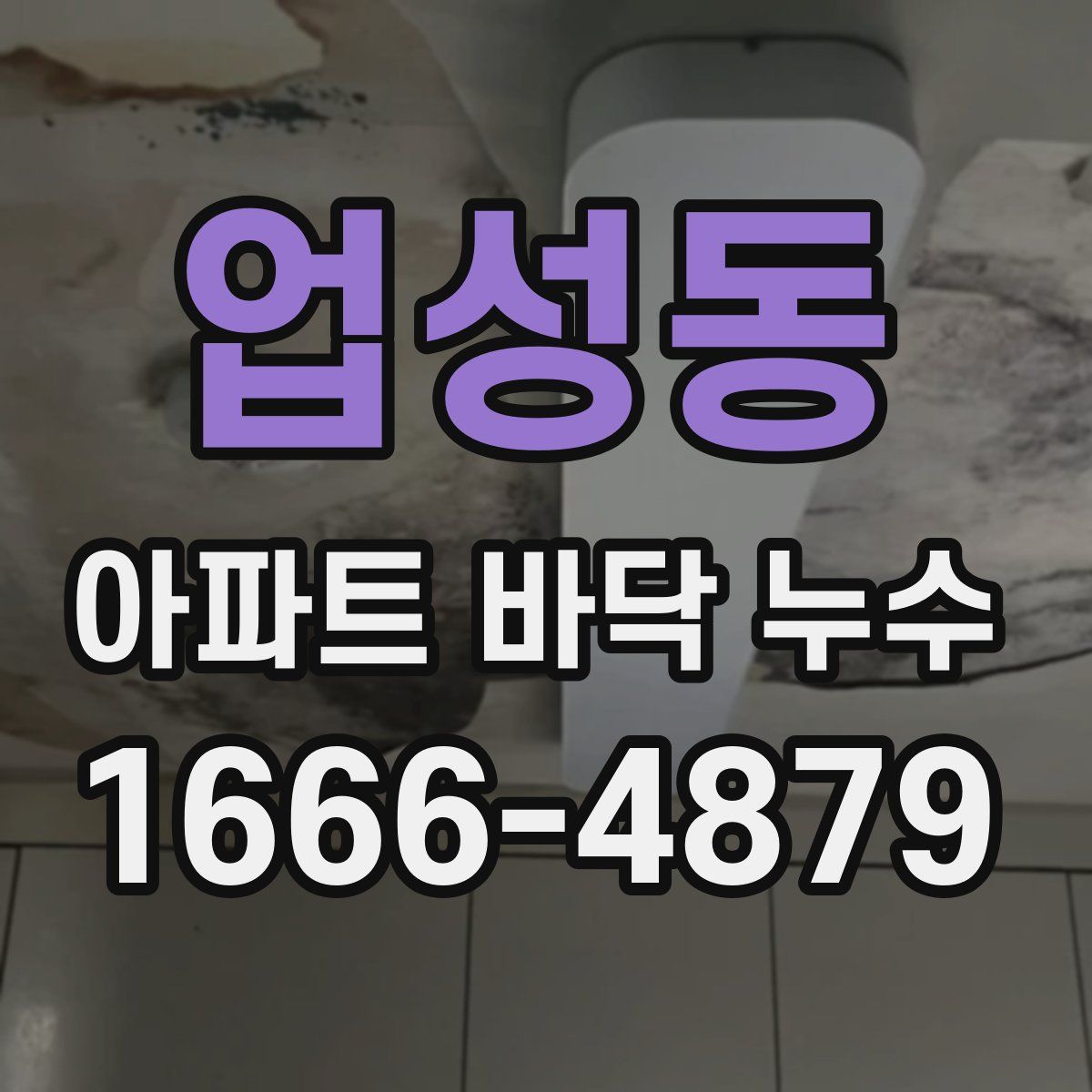 업성동 아파트 바닥 누수