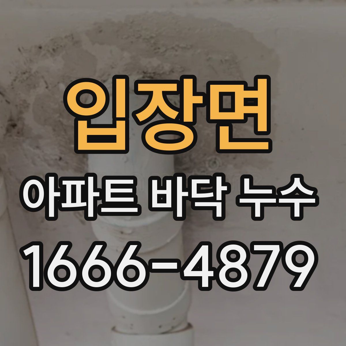 입장면 아파트 바닥 누수