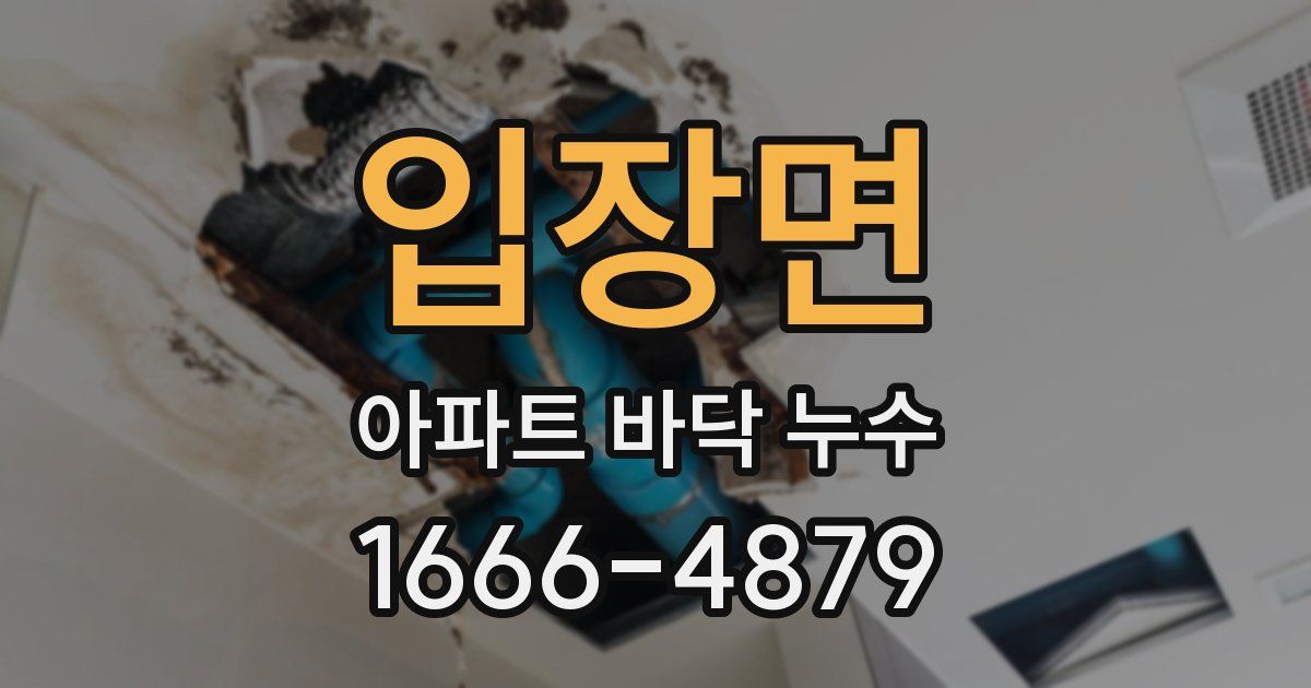 입장면 아파트 바닥 누수