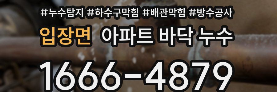 입장면 아파트 바닥 누수
