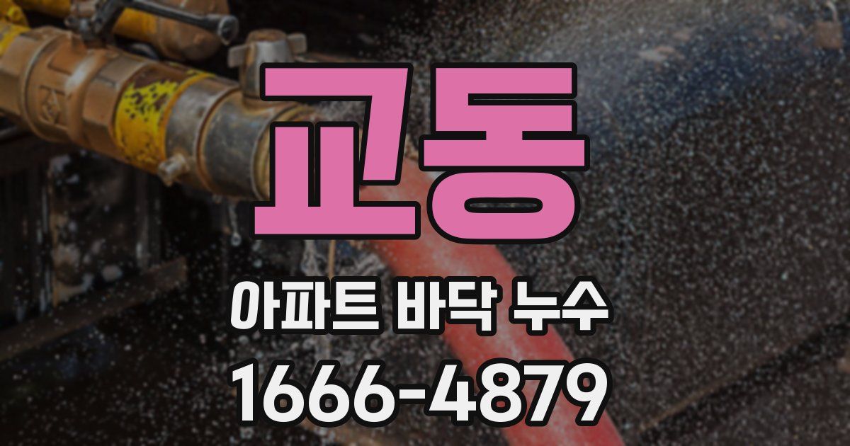 교동 아파트 바닥 누수