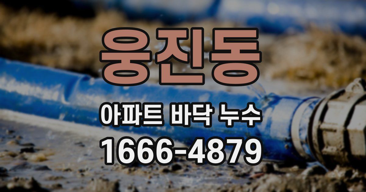 웅진동 아파트 바닥 누수