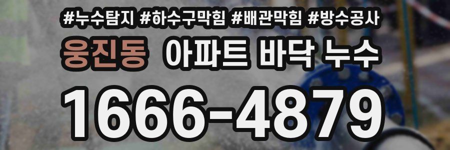 웅진동 아파트 바닥 누수