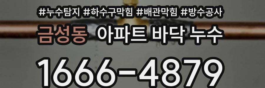 금성동 아파트 바닥 누수