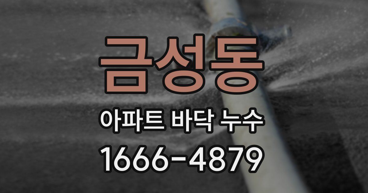 금성동 아파트 바닥 누수