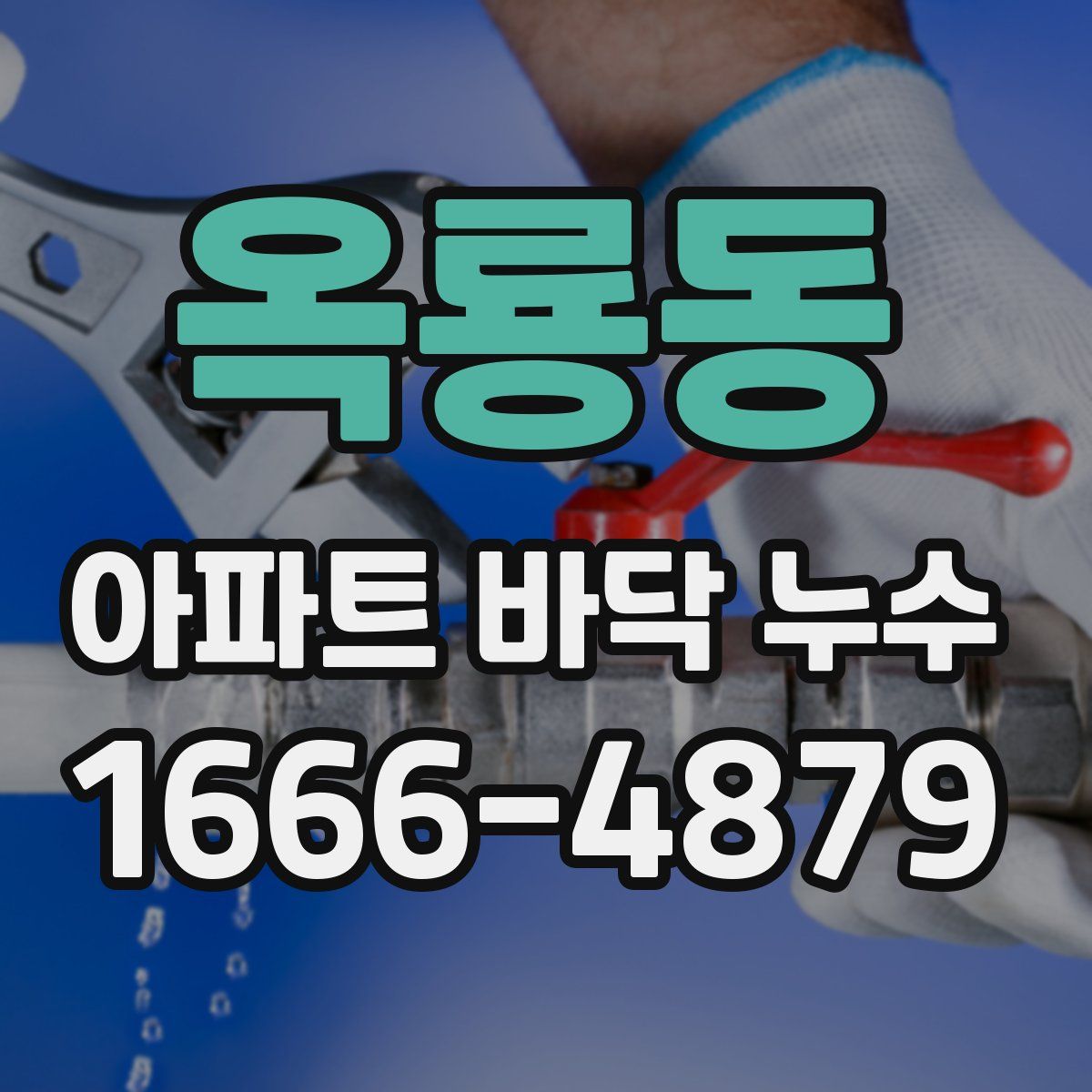옥룡동 아파트 바닥 누수
