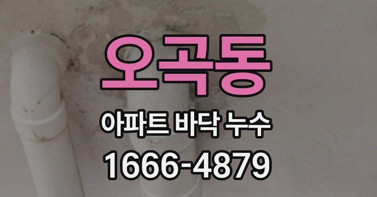 오곡동 아파트 바닥 누수