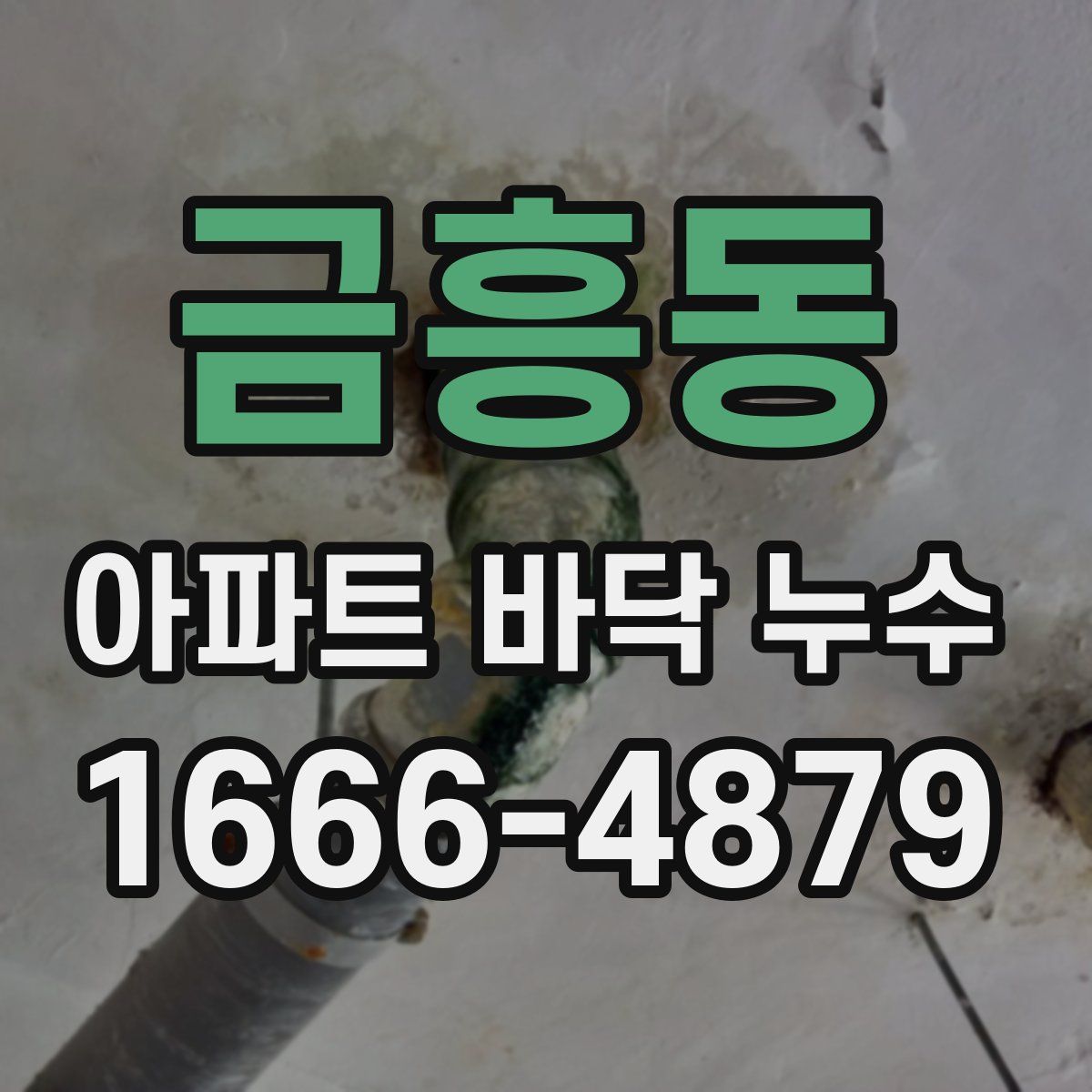 금흥동 아파트 바닥 누수