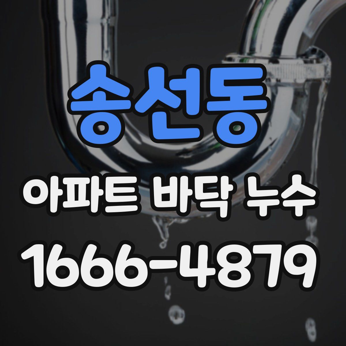 송선동 아파트 바닥 누수