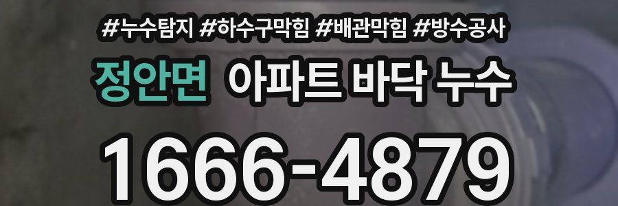 정안면 아파트 바닥 누수
